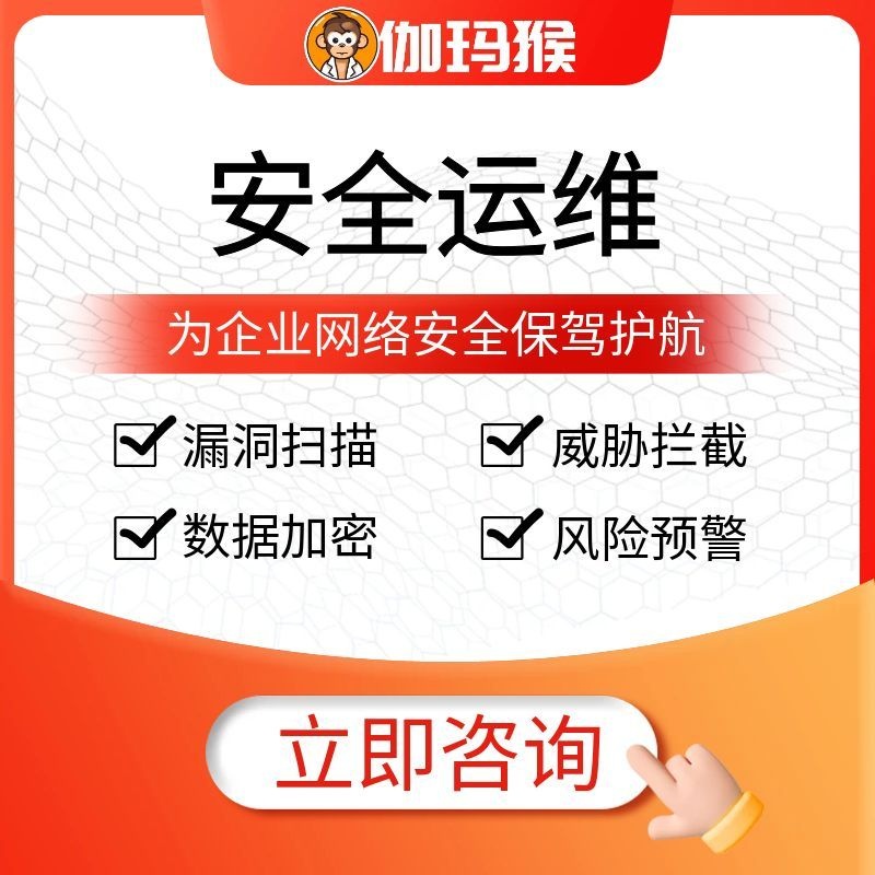 伽玛猴 安全运维服务 漏洞扫描威胁拦截 数据加密风险预警企业网络安全-伽玛猴